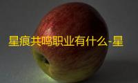 星痕共鸣职业有什么-星痕共鸣职业情报一览