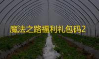 魔法之路福利礼包码2
